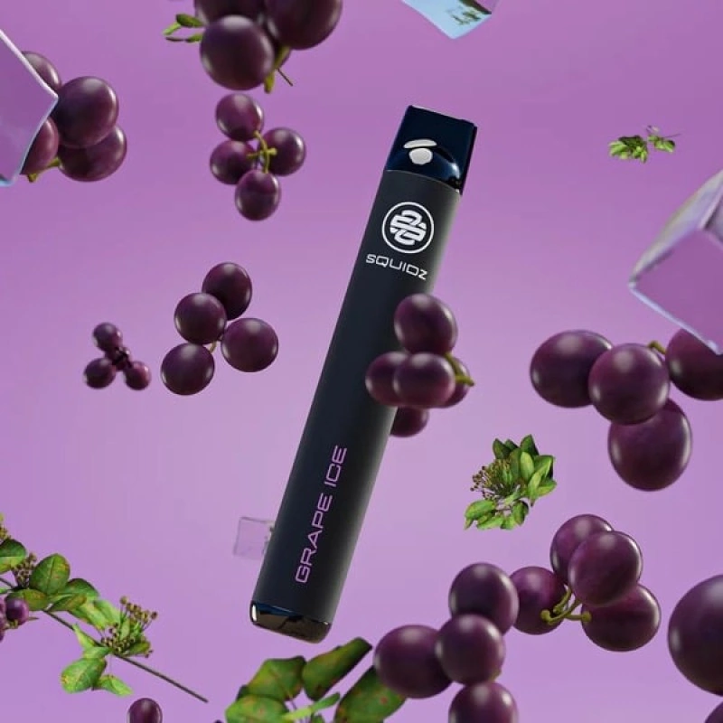 Squidz Grape Ice Einweg E-Shisha Vape Bar 700 Züge