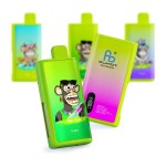 RandM Big Puff Basisgerät