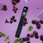 Squidz Grape Ice Einweg E-Shisha Vape Bar 700 Züge